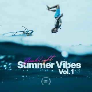 Summer Vibes, Vol. 1