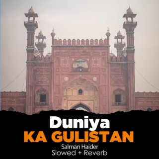 Duniya Ka Gulistan Lofi