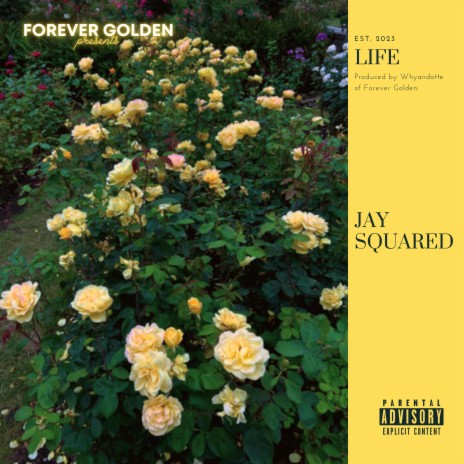Life ft. Forever Golden & Whyandotte | Boomplay Music