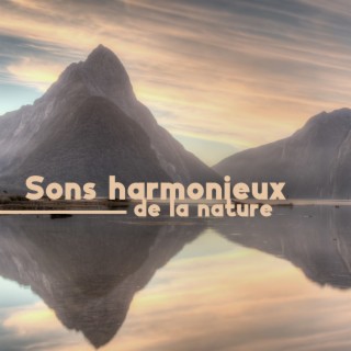 Sons harmonieux de la nature: Musique la plus apaisante et la plus paisible pour la détente