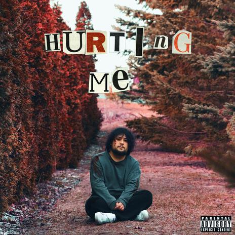 Hurting Me ft. driplee | Boomplay Music