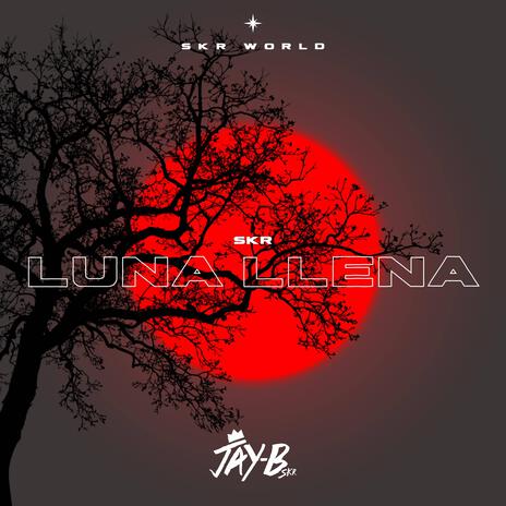 LUNA LLENA | Boomplay Music