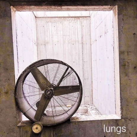 Lungs | Boomplay Music