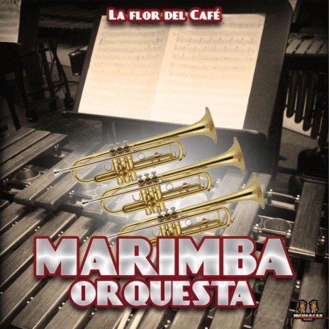 La Pajarera ft. Marimba Orquesta | Boomplay Music