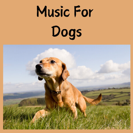 Puppy Unwind ft. Music For Dogs Peace, Relaxing Puppy Music & Calm Pets Music Academy