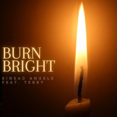 Burn Bright ft. Terry | Boomplay Music