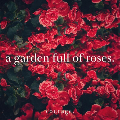 A Garden Full of Roses