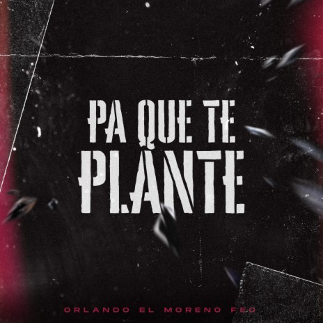 Pa Que Te Plante | Boomplay Music