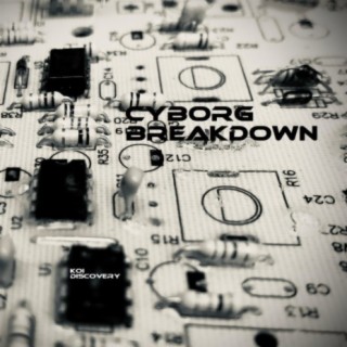 Cyborg Breakdown