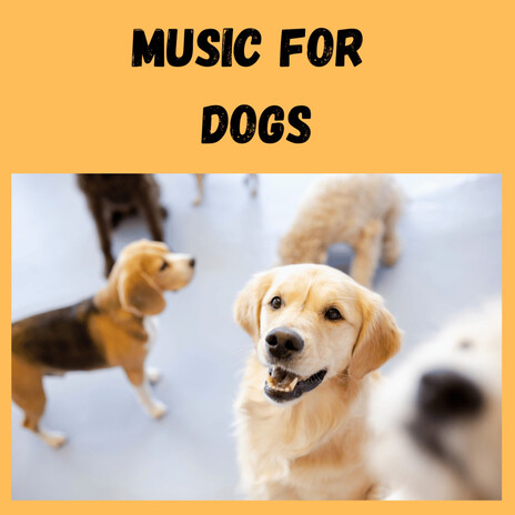 Puppy Yawns ft. Music For Dogs Peace, Relaxing Puppy Music & Calm Pets Music Academy