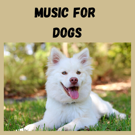 Cozy Dog Lullaby ft. Music For Dogs Peace, Relaxing Puppy Music & Calm Pets Music Academy | Boomplay Music