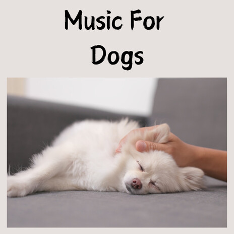 Puppy Lullabies ft. Music For Dogs Peace, Relaxing Puppy Music & Calm Pets Music Academy