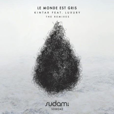 Le Monde Est Gris (Who Else Remix)