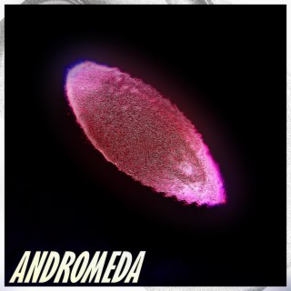 Andromeda