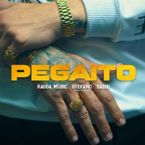 Pegaito ft. Stefano & Sabih