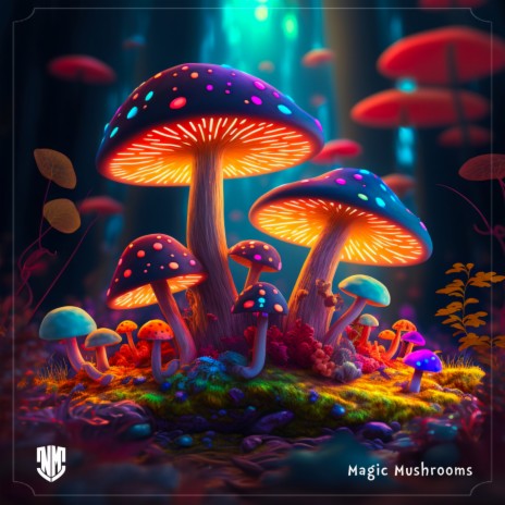 Magic Mushrooms