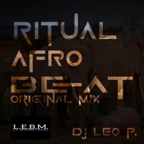 Ritual Afro Beat