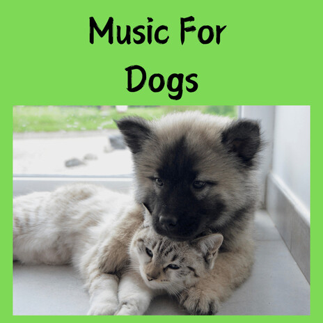 Dreamland for Doggies ft. Music For Dogs Peace, Relaxing Puppy Music & Calm Pets Music Academy