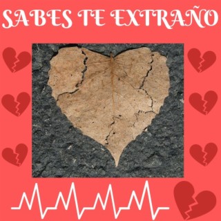 Sabes te extraño ft. Blackfamily lyrics | Boomplay Music