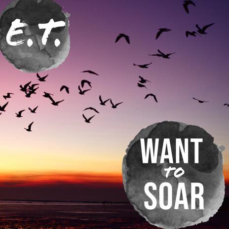 Want to soar | Boomplay Music