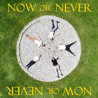 Now Or Never lyrics | Boomplay Music