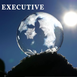 Executive