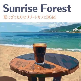 夏にぴったりなリゾートカフェbgm