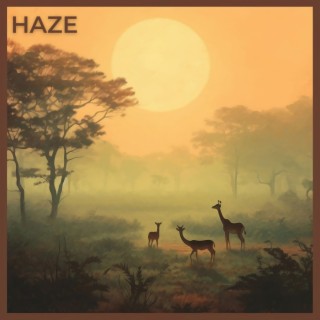 Haze