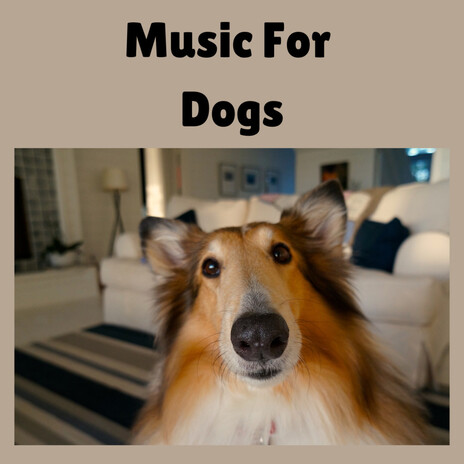Calming Doggy Dreams ft. Music For Dogs Peace, Relaxing Puppy Music & Calm Pets Music Academy
