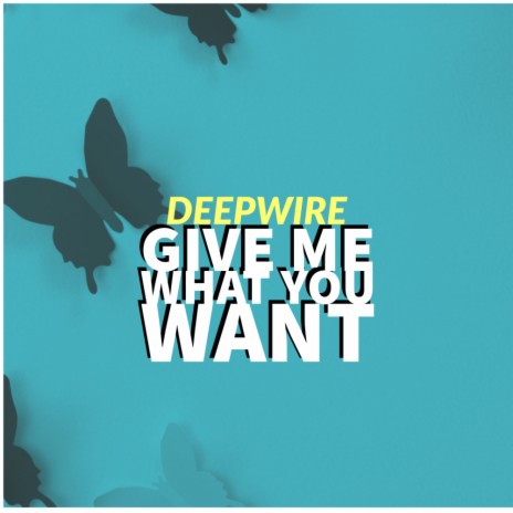 Give Me What You Want (Original Mix)