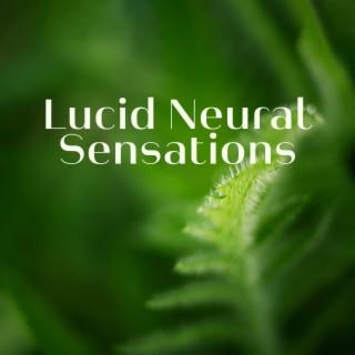 Lucid Neural Sensations – 500 Hz Green Peace Frequency (Nature Sounds)