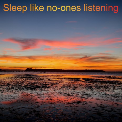 Sleep Like No-Ones Listening | Boomplay Music