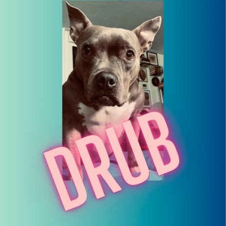 Drub | Boomplay Music