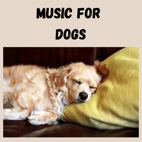 Resting Dog Music ft. Music For Dogs Peace, Relaxing Puppy Music & Calm Pets Music Academy