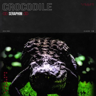 Crocodile