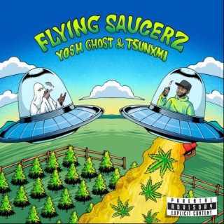 Flying Saucerz