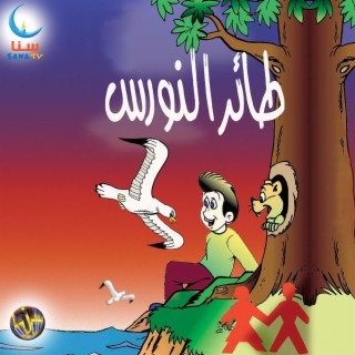 طائر النورس | Taer Al Nawras