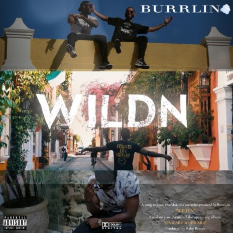 Wildn | Boomplay Music