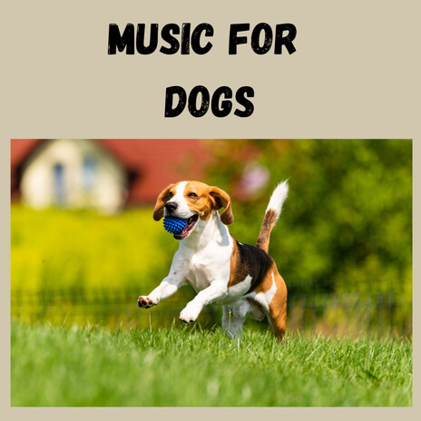 Relaxation Sounds for Ruff Days ft. Music For Dogs Peace, Relaxing Puppy Music & Calm Pets Music Academy