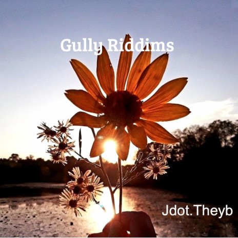 Gully Riddims | Boomplay Music