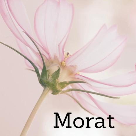Morat (feat. Tamara Cornea) | Boomplay Music