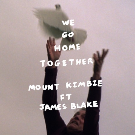 We Go Home Together ft. James Blake | Boomplay Music