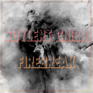 Firebreak EP