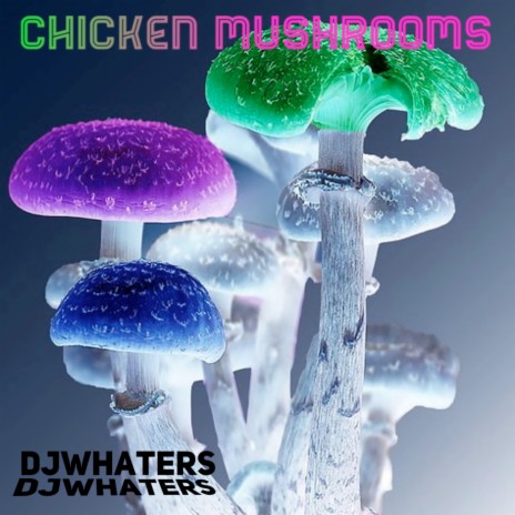 Chicken Mushrooms | Boomplay Music
