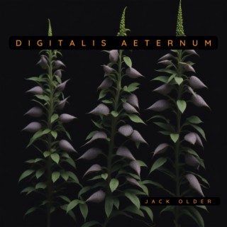 Digitalis Aeternum