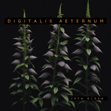 Digitalis Aeternum | Boomplay Music