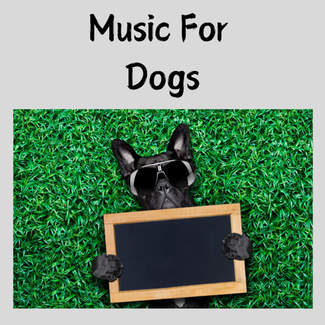 Gentle Music For Dogs ft. Music For Dogs Peace, Relaxing Puppy Music & Calm Pets Music Academy