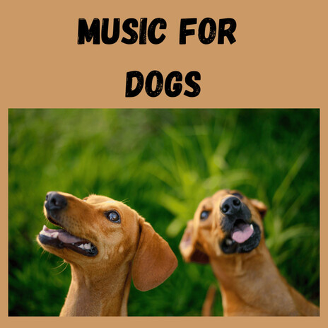 Peaceful Thoughts ft. Music For Dogs Peace, Relaxing Puppy Music & Calm Pets Music Academy