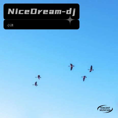 Nice Dream-dj | Boomplay Music