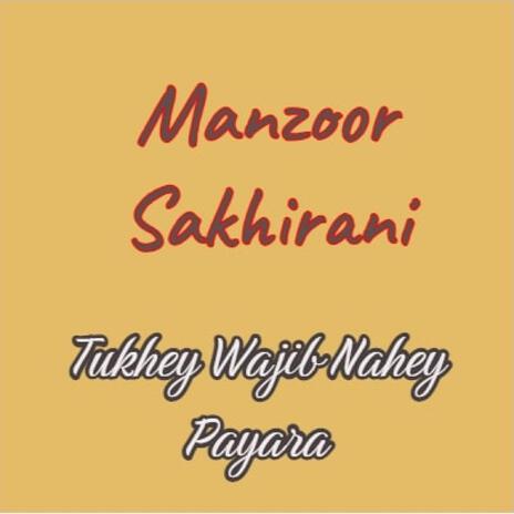 Tukhey Wajhib Nahey Payara | Boomplay Music